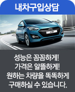 내차구입상담 - 성능은 꼼꼼하게! 가격은 알뜰하게! 원하는 차량을 똑똑하게 구매하실 수 있습니다.